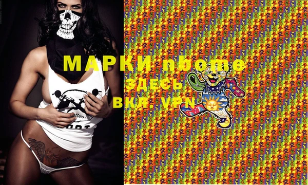 PSILOCYBIN Вяземский