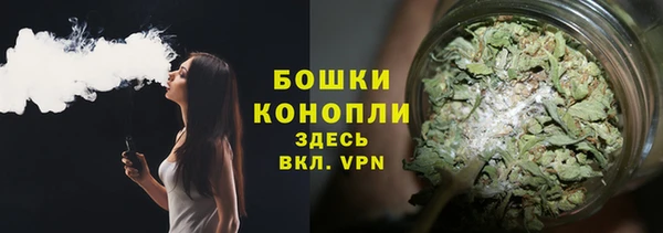 PSILOCYBIN Вяземский