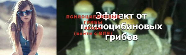 дживик Волосово