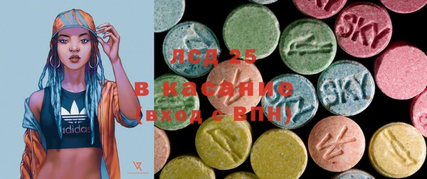 PSILOCYBIN Вяземский
