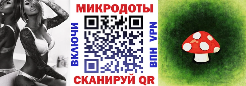 дарнет шоп  Бугульма  Псилоцибиновые грибы Psilocybine cubensis 