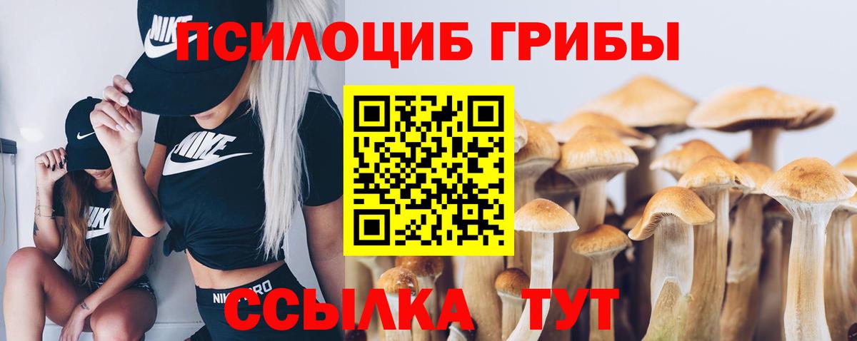 Бугульма  Галлюциногенные грибы ЛСД  Вход с VPN 