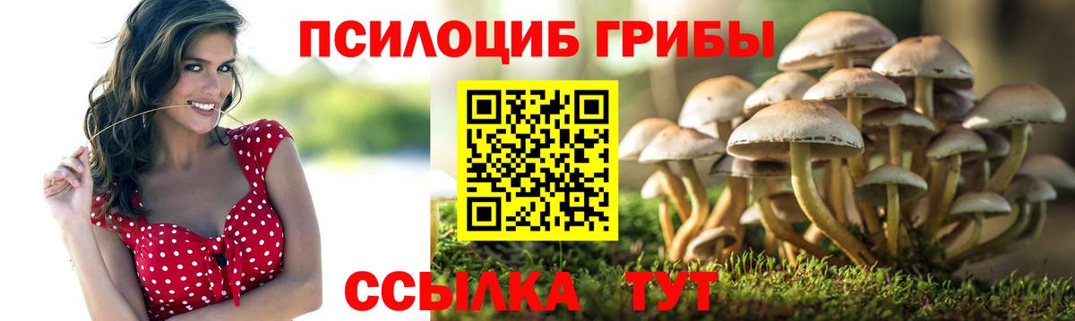 Галлюциногенные грибы мухоморы Бугульма